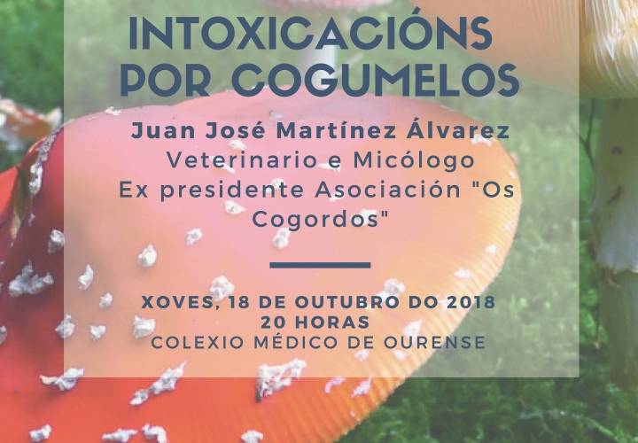 Intoxicacións por cogumelos