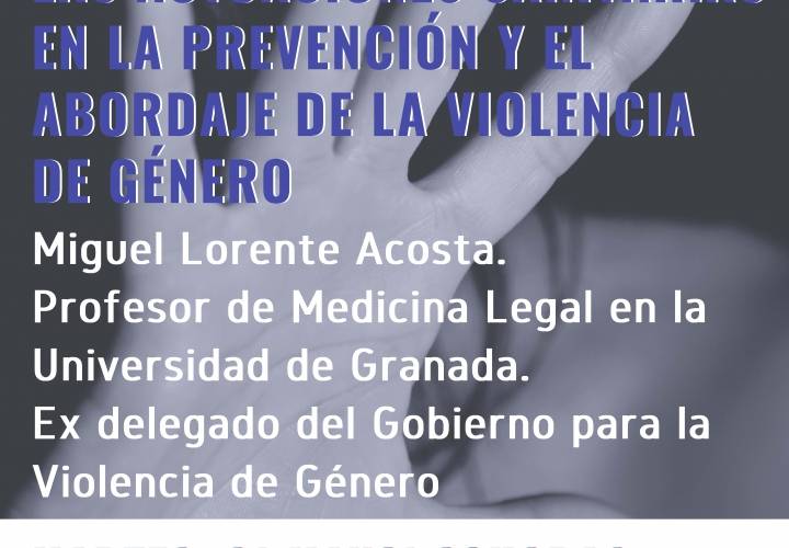 Las actuaciones sanitarias en la prevención y el abordaje de la violencia de género