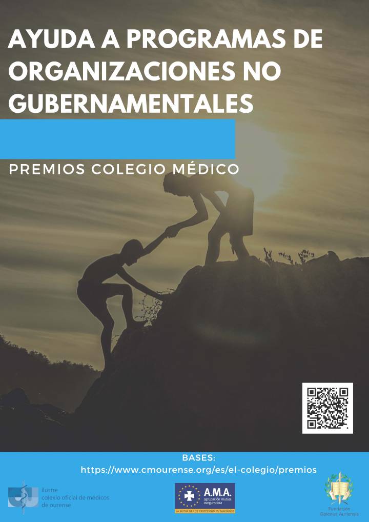 Premio Ayuda a Programas de Organizaciones No Gubernamentales