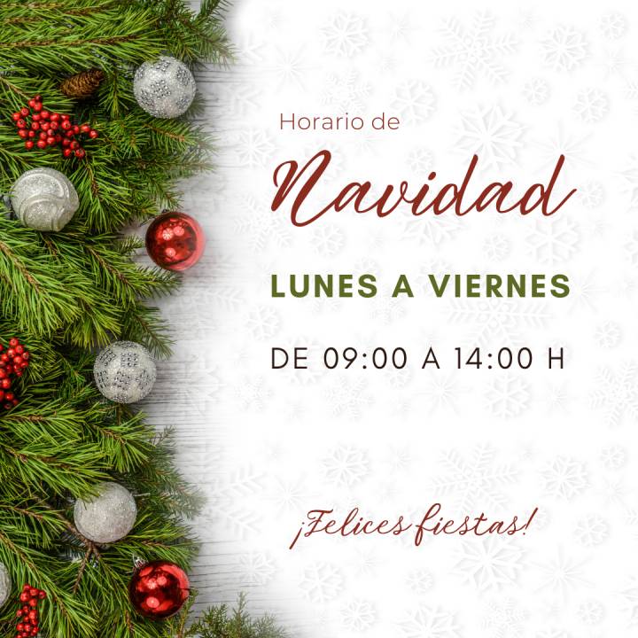 Horario Navidad