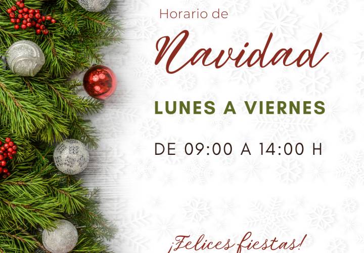 Horario Navidad