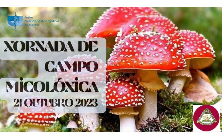 XORNADA DE CAMPO MICOLÓXICA