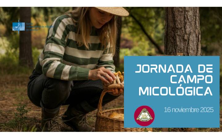 Jornada de Campo Micológica