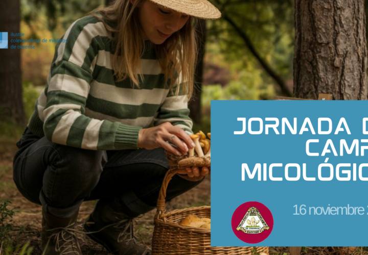 Jornada de Campo Micológica
