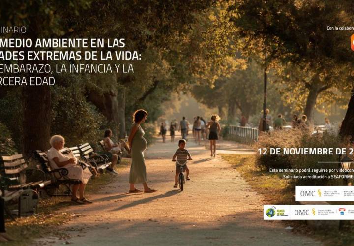 Seminario acreditado: Embarazo, infancia y envejecimiento desde la perspectiva de la salud medioambiental