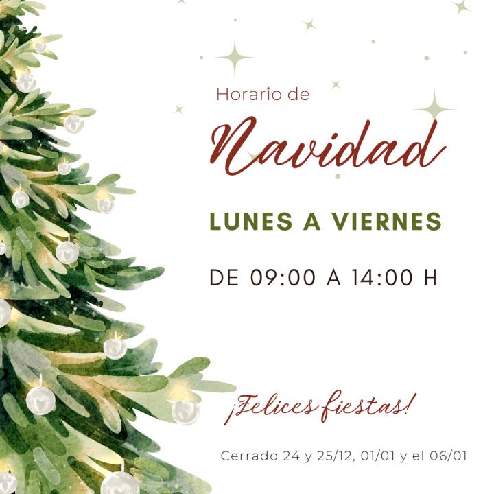Horario de Navidad