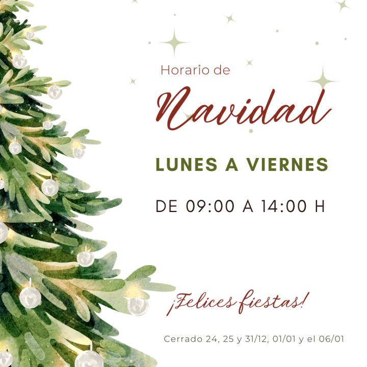 Horario de Navidad