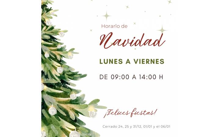 Horario de Navidad