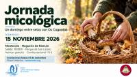 Jornada micológica con Os Cogordos: un domingo para disfrutar del otoño